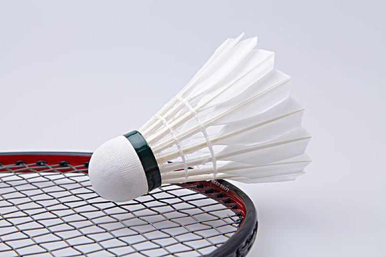 在转会中扮 在转会中扮